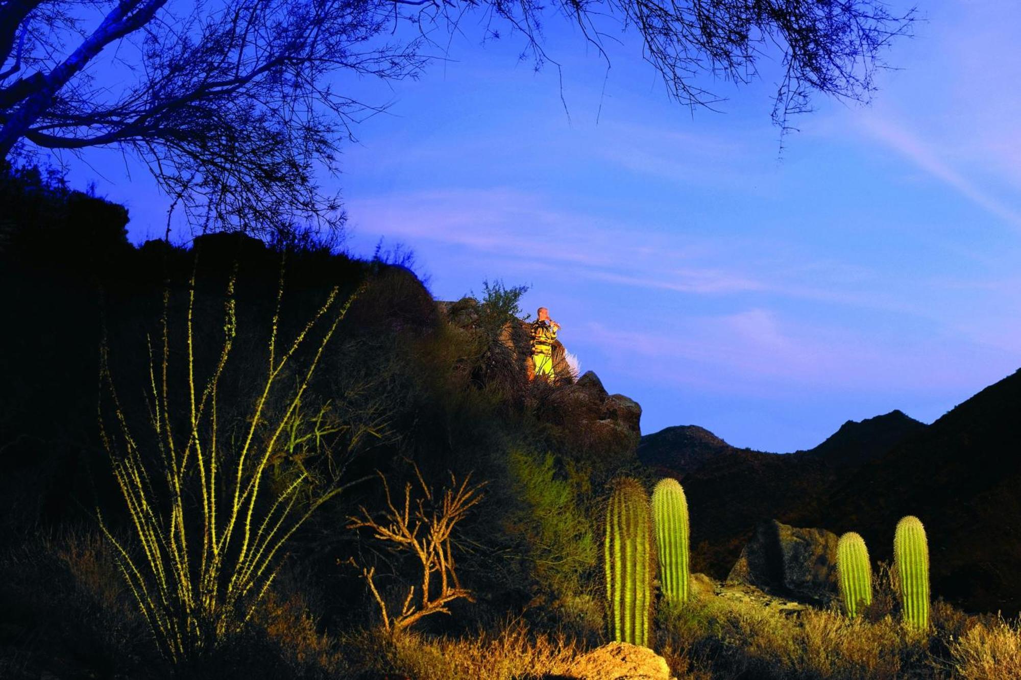 The Ritz-Carlton, Dove Mountain Hotel Marana Exterior photo